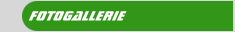 Fotogallerie 